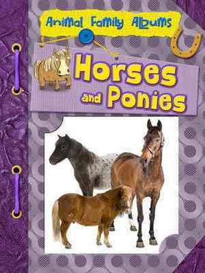Horses and Ponies. Paul Mason image number 0