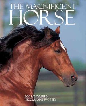 The Magnificent Horse image number 0