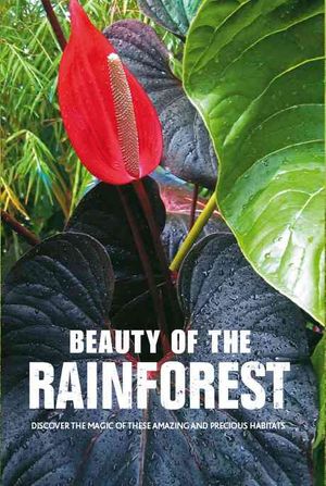 Beauty of the Rainforest : Discover the Magic of These Amazing and Precious Habitats image number 0