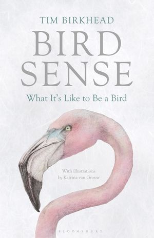 Bird Sense image number 0