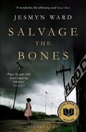 Salvage the Bones image number 0