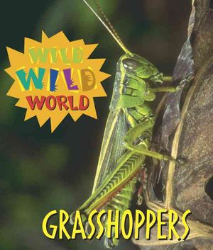 Grasshoppers image number 0