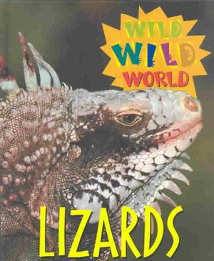 Lizards image number 0