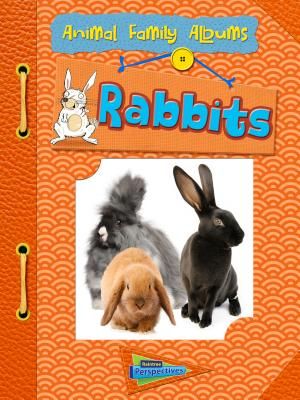 Rabbits image number 0