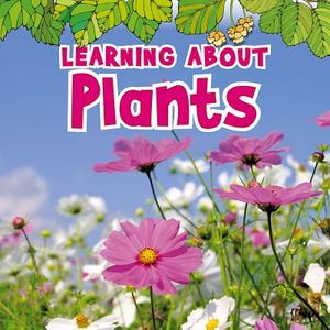 Learning about Plants image number 0