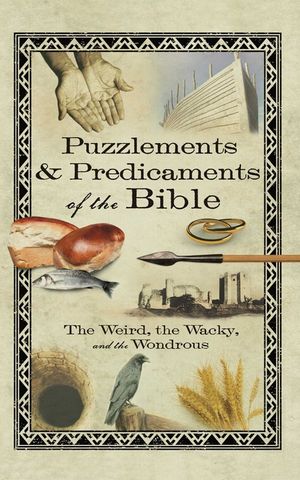 Puzzlements & Predicaments of the Bible: The Weird, the Wacky, and the Wondrous image number 0