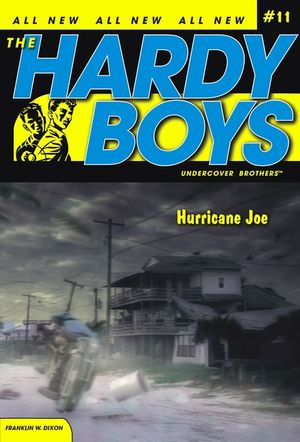 Hurricane Joe, 11 image number 0