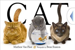 Cat image number 0