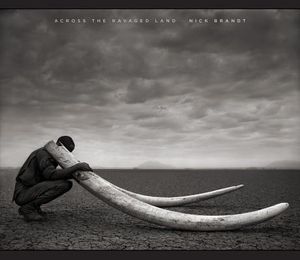 Across the Ravaged Land image number 0