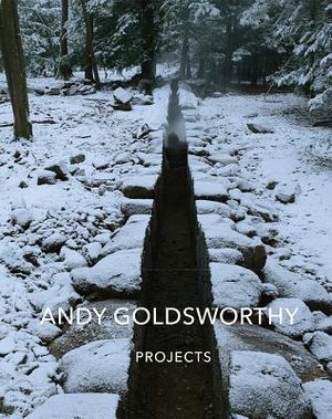 Andy Goldsworthy: Projects image number 0