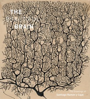 The Beautiful Brain: The Drawings of Santiago Ramon Y Cajal image number 0