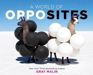 A World of Opposites image number 0