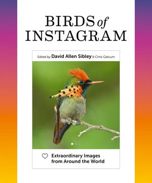 Birds of Instagram: Extraordinary Images from Around the World image number 0