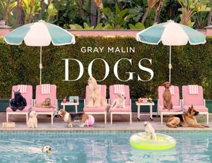Gray Malin: Dogs: Photographs image number 0