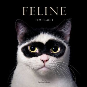 Feline: Photographs image number 0