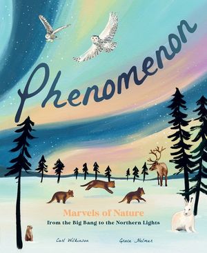 Phenomenon: Marvels of Nature from the Big Bang to the Northern Lights image number 0