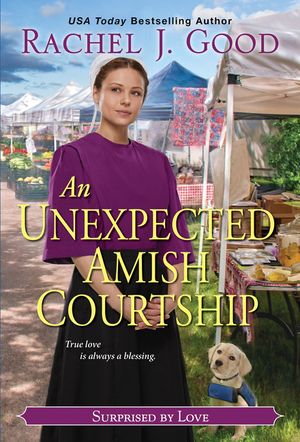 An Unexpected Amish Courtship image number 0