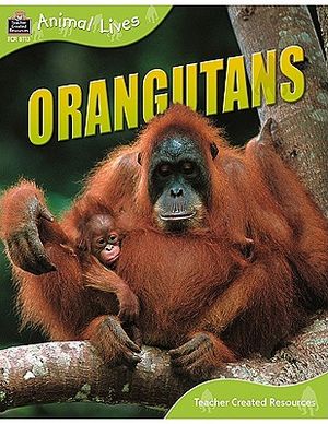 Animal Lives: Orangutans image number 0