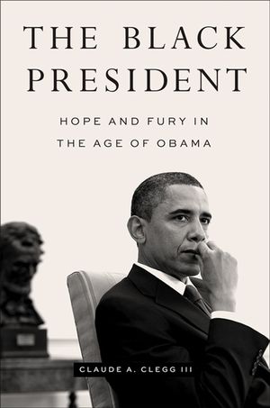 The Black President: Hope and Fury in the Age of Obama image number 0