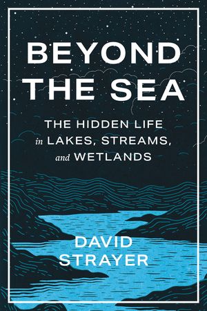 Beyond the Sea: The Hidden Life in Lakes, Streams, and Wetlands image number 0