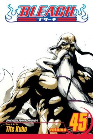 Bleach, Vol. 45, 45 image number 0
