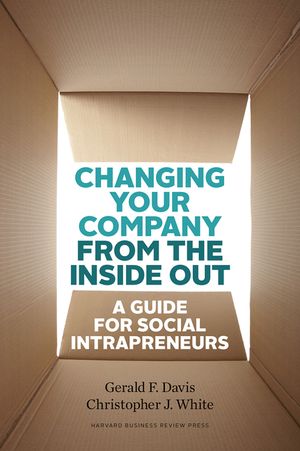 Changing Your Company from the Inside Out: A Guide for Social Intrapreneurs image number 0