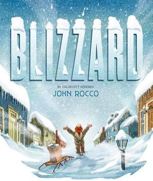 Blizzard image number 0