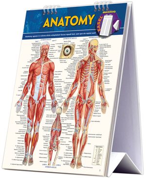 Anatomy Easel Book: A Quickstudy Reference Tool image number 0