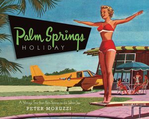 Palm Springs Holiday: A Vintage Tour from Palm Springs to the Saltan Sea image number 0