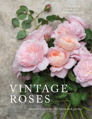 Vintage Roses: Beautiful Varieties for Home and Garden image number 0