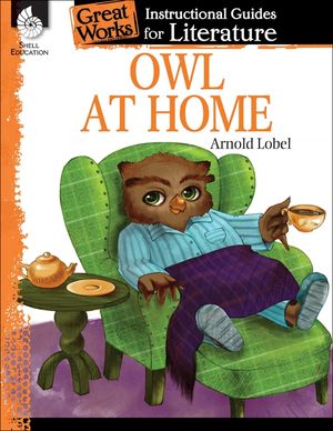 Owl at Home image number 0