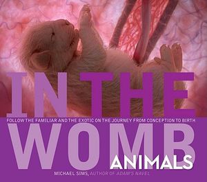 In the Womb: Animals image number 0