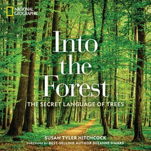 Into the Forest: The Secret Language of Trees image number 0