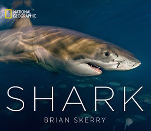 Shark image number 0