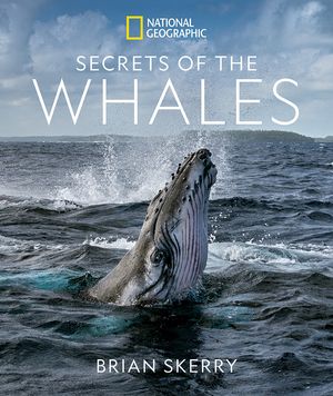 Secrets of the Whales image number 0