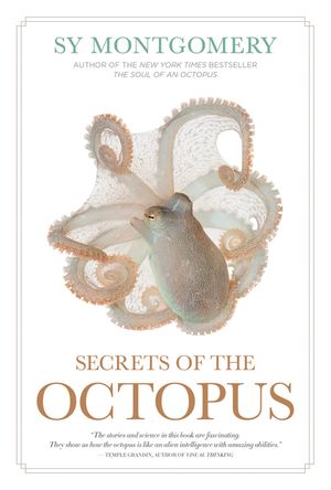Secrets of the Octopus image number 0