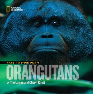 Face to Face with Orangutans image number 0