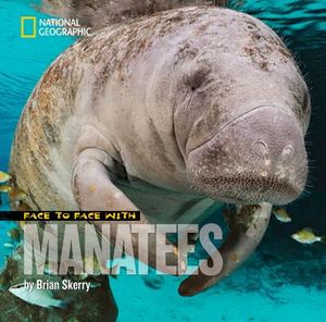 Face to Face with Manatees image number 0
