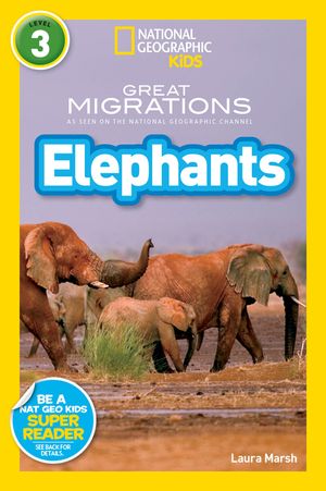 Elephants image number 0