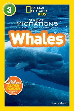 Whales image number 0