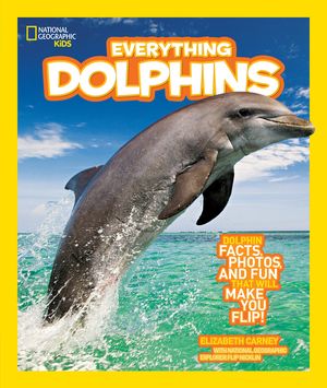 Everything Dolphins image number 0