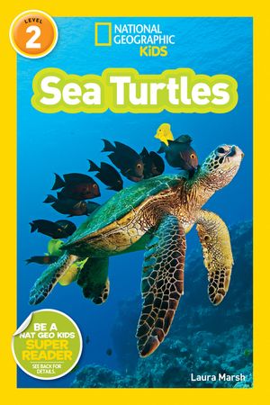 Sea Turtles image number 0