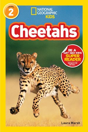 Cheetahs image number 0