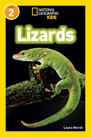 Lizards image number 0