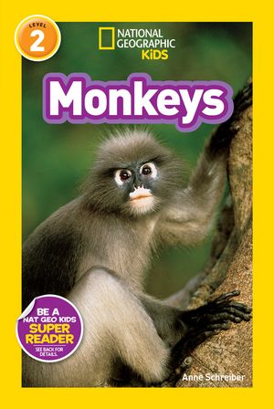 Monkeys image number 0