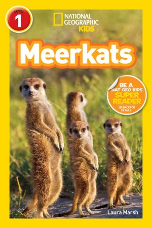 Meerkats image number 0