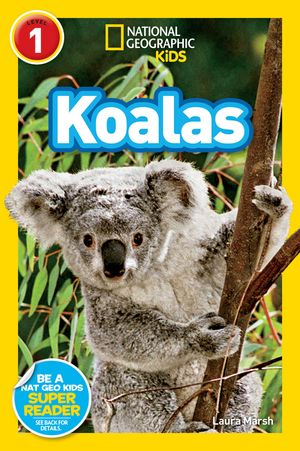 Koalas image number 0