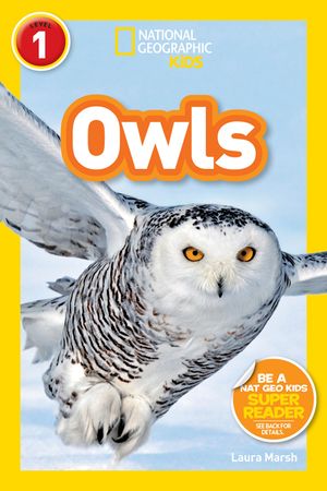 Owls image number 0