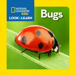 National Geographic Kids Look and Learn: Bugs image number 0