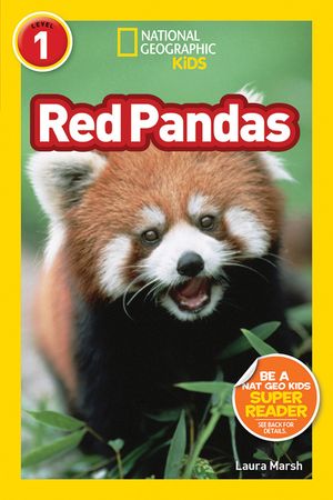 Red Pandas image number 0
